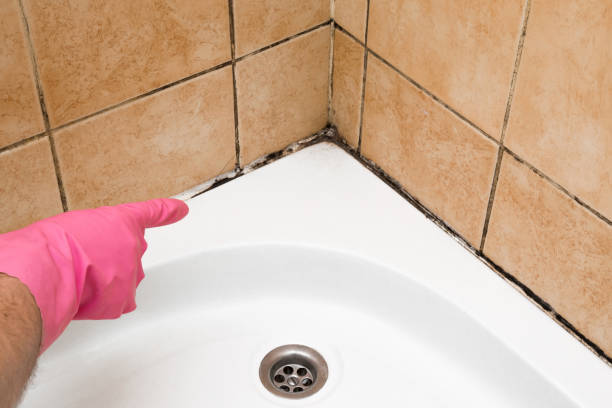 Best Crawl Space Mold Removal  in Wrightsboro, NC